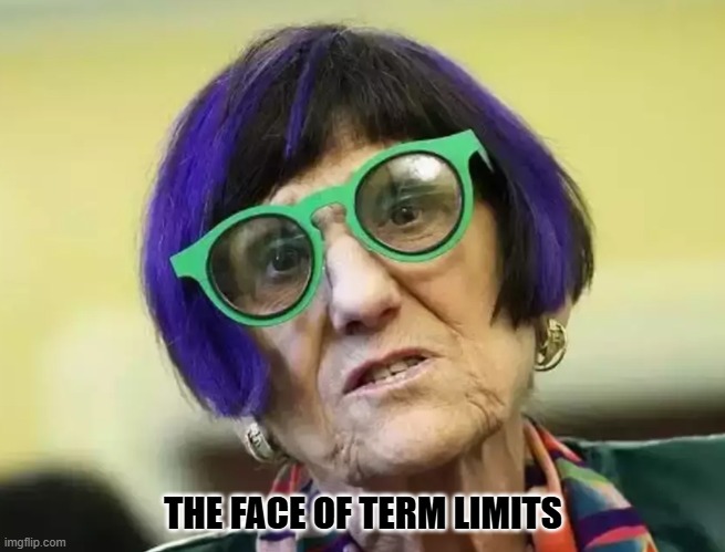 The Face of term limits | THE FACE OF TERM LIMITS | image tagged in term limits,democrats,democratic party,rosa delauro | made w/ Imgflip meme maker