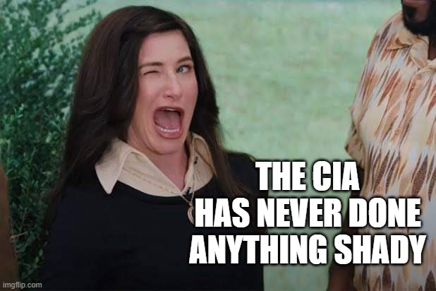 WandaVision Agnes wink | THE CIA HAS NEVER DONE ANYTHING SHADY | image tagged in wandavision agnes wink | made w/ Imgflip meme maker