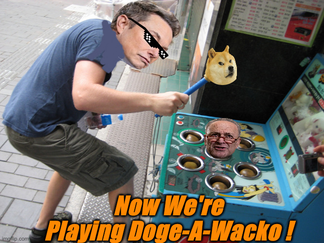 Look There, 80K VA Jobs ! Code, Blue | Now We're Playing Doge-A-Wacko ! | image tagged in whack-a-mole,political meme,politics,funny memes,funny,elon musk | made w/ Imgflip meme maker