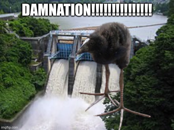 DAMNATION!!!!!!!!!!!!!!! | made w/ Imgflip meme maker