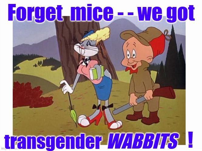 (Real) Mice Don't Wear Clothes | Forget  mice - - we got; ! WABBITS; transgender | image tagged in transgender,donald trump the clown,trump | made w/ Imgflip meme maker