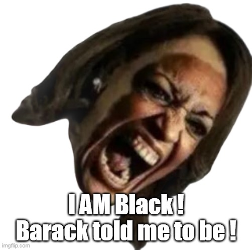 I AM Black !
Barack told me to be ! | made w/ Imgflip meme maker