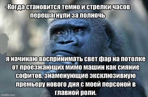 -The new day bringer. | image tagged in foreign policy,i bring the funny,thinking ape,movie quotes,so true memes,strange cars | made w/ Imgflip meme maker