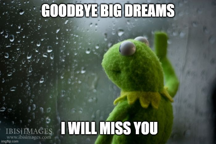 GOODBYE BIG DREAMS I WILL MISS YOU | image tagged in kermit window | made w/ Imgflip meme maker