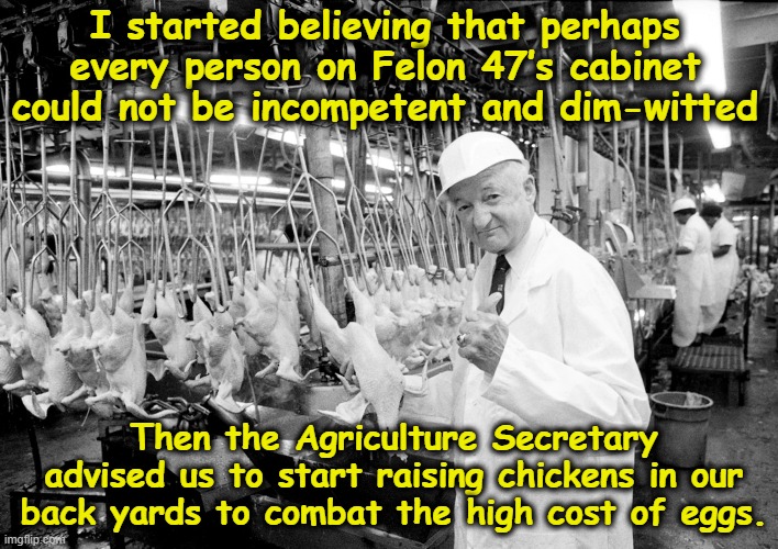 High Cost of Eggs | I started believing that perhaps every person on Felon 47’s cabinet could not be incompetent and dim-witted; Then the Agriculture Secretary advised us to start raising chickens in our back yards to combat the high cost of eggs. | image tagged in maga,right wing,chicken,donald trump is an idiot,donald trump memes,inflation | made w/ Imgflip meme maker