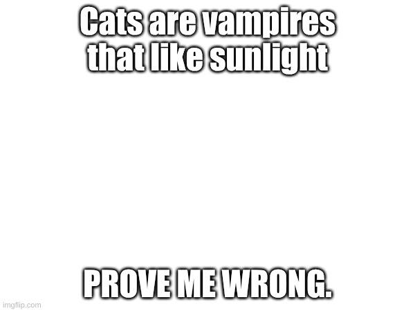 Prove me wrong and I'll give you a follow | Cats are vampires that like sunlight; PROVE ME WRONG. | image tagged in cats | made w/ Imgflip meme maker