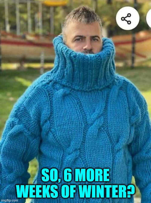 Did he see his shadow? | SO, 6 MORE WEEKS OF WINTER? | image tagged in memes,did he see his shadow | made w/ Imgflip meme maker