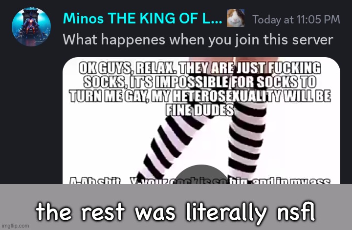 the rest was literally nsfl | made w/ Imgflip meme maker