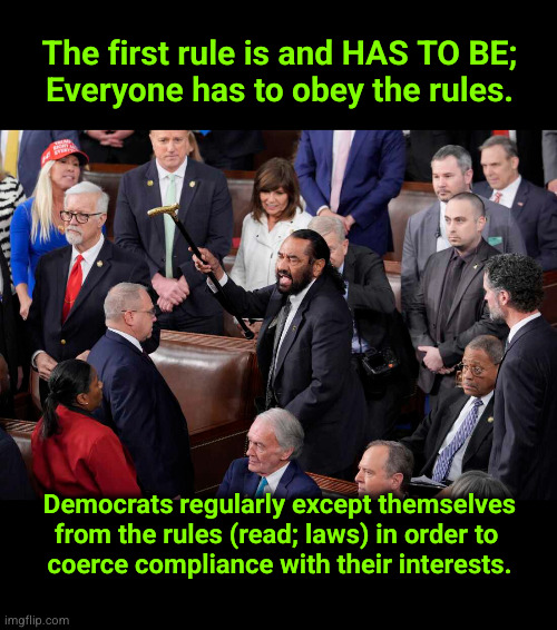 The first rule is and HAS TO BE; Everybody has to follow the rules. | The first rule is and HAS TO BE;
Everyone has to obey the rules. Democrats regularly except themselves
from the rules (read; laws) in order to 
coerce compliance with their interests. | image tagged in rep al green,rule number one | made w/ Imgflip meme maker