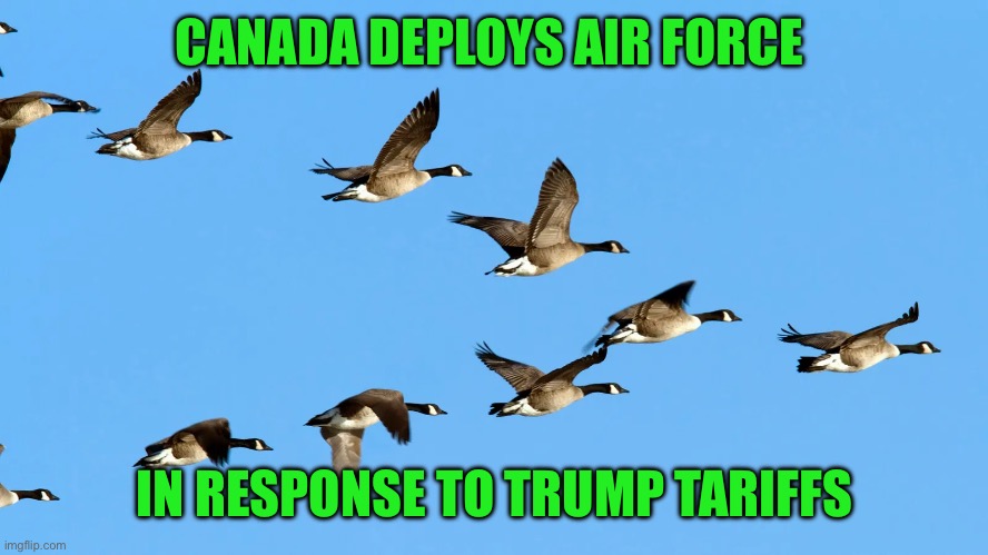 Canada deploys air forces | CANADA DEPLOYS AIR FORCE; IN RESPONSE TO TRUMP TARIFFS | image tagged in flying canadian geese,wanna mess around eh,canada is a communist nation,no free speech and no guns equal cucks | made w/ Imgflip meme maker