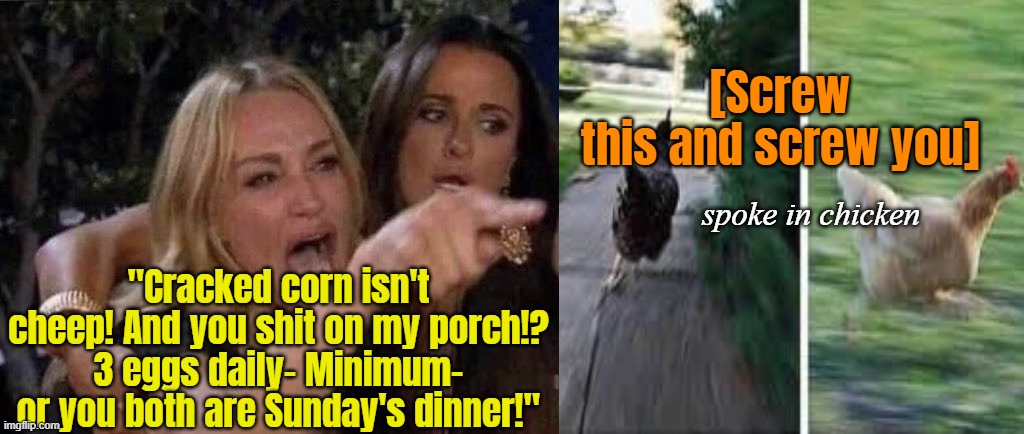 woman yelling at cat | "Cracked corn isn't cheep! And you shit on my porch!? 3 eggs daily- Minimum- or you both are Sunday's dinner!" [Screw 
this and screw you] s | image tagged in woman yelling at cat | made w/ Imgflip meme maker