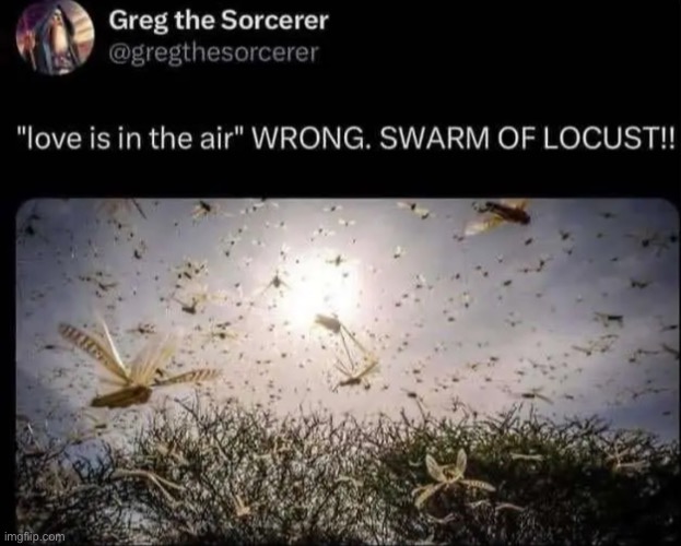 Locust | made w/ Imgflip meme maker