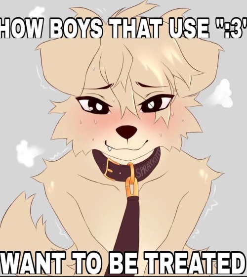 How mf's using ":3" want to be treated | image tagged in how mf's using 3 want to be treated | made w/ Imgflip meme maker