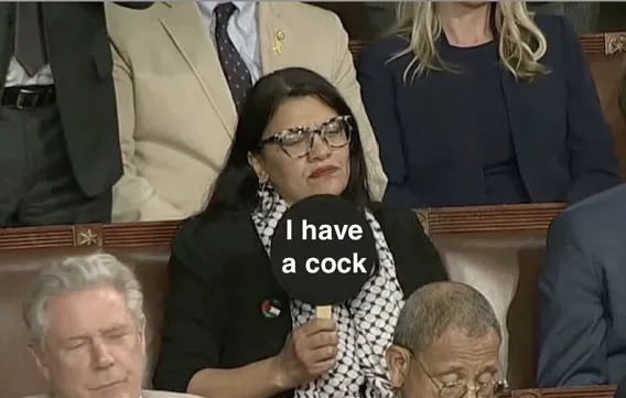 High Quality Democrat Rashida Tlaib Blank Meme Template