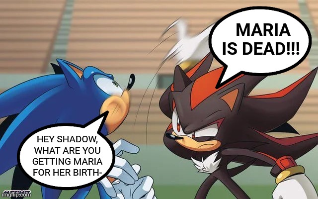 What if Shadow slaps Sonic just like Batman does to Robin? | MARIA IS DEAD!!! HEY SHADOW, WHAT ARE YOU GETTING MARIA FOR HER BIRTH- | image tagged in sonic the hedgehog,shadow the hedgehog,shadow slapping sonic,sega,sega sammy,batman slapping robin | made w/ Imgflip meme maker