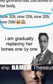 Ship named theseus Blank Meme Template