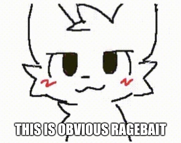 you like kissing boys | THIS IS OBVIOUS RAGEBAIT | image tagged in you like kissing boys | made w/ Imgflip meme maker