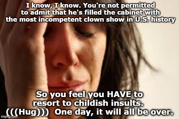 I know, I know. You're not permitted to admit that he's filled the cabinet with the most incompetent clown show in U.S. history So you feel  | image tagged in crying lady | made w/ Imgflip meme maker