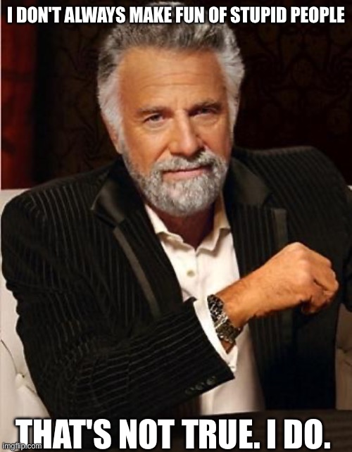 i don't always | I DON'T ALWAYS MAKE FUN OF STUPID PEOPLE; THAT'S NOT TRUE. I DO. | image tagged in i don't always | made w/ Imgflip meme maker