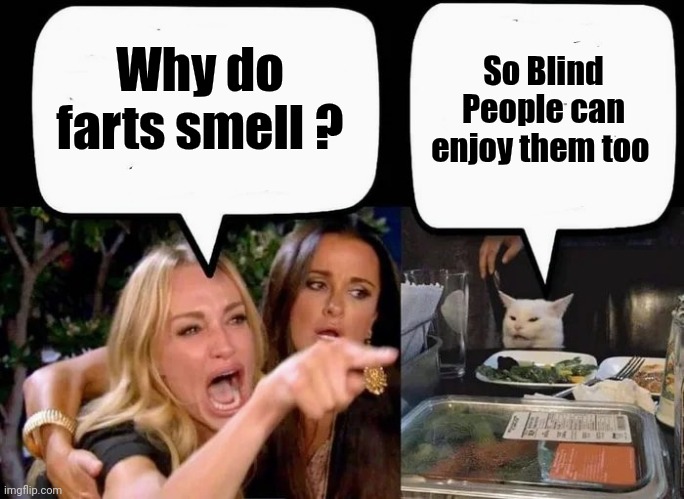 Don't eat the Cat | Why do farts smell ? So Blind People can enjoy them too | image tagged in don't eat the cat | made w/ Imgflip meme maker