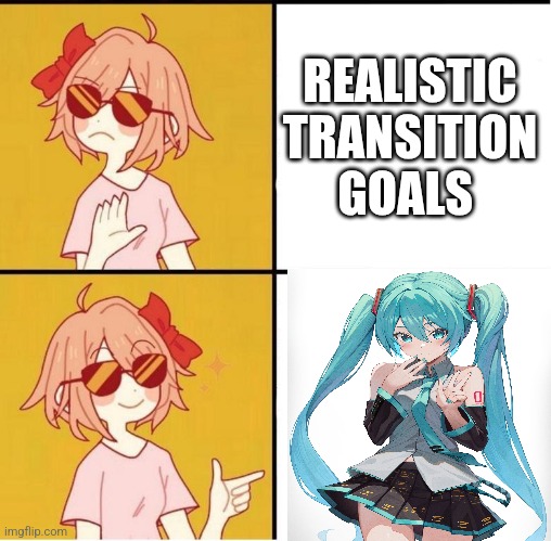 Transition goals | REALISTIC TRANSITION GOALS | image tagged in sayori drake | made w/ Imgflip meme maker