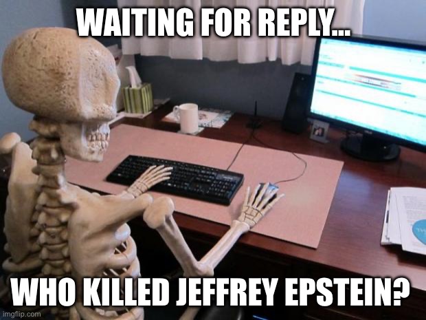 Who offed Jeffrey Epstein? | WAITING FOR REPLY…; WHO KILLED JEFFREY EPSTEIN? | image tagged in skeleton at computer desk | made w/ Imgflip meme maker