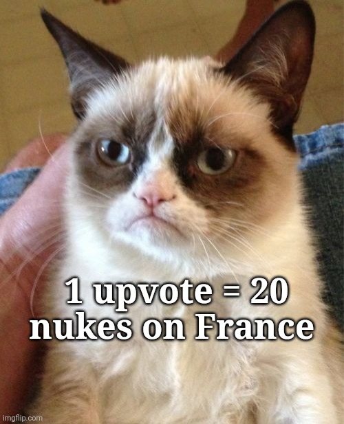 if this actually works | 1 upvote = 20 nukes on France | image tagged in memes,grumpy cat | made w/ Imgflip meme maker