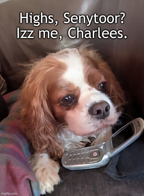 Charlie Calling | Highs, Senytoor?  Izz me, Charlees. | image tagged in charlie calling,cav with phone | made w/ Imgflip meme maker