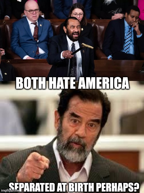 Trump 2024 | BOTH HATE AMERICA; ....SEPARATED AT BIRTH PERHAPS? | image tagged in al green,saddam | made w/ Imgflip meme maker