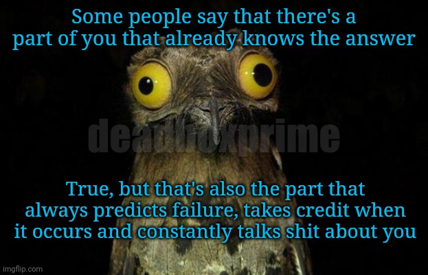 Think positive | Some people say that there's a part of you that already knows the answer; deadboxprime; True, but that's also the part that always predicts failure, takes credit when it occurs and constantly talks shit about you | image tagged in memes,weird stuff i do potoo | made w/ Imgflip meme maker