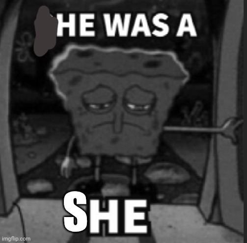 She was a he | S | image tagged in she was a he | made w/ Imgflip meme maker