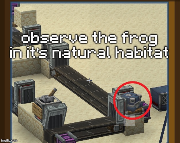 observe the frog in it's natural habitat | made w/ Imgflip meme maker