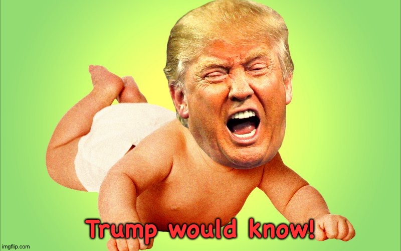Cry baby Trump | Trump would know! | image tagged in cry baby trump | made w/ Imgflip meme maker