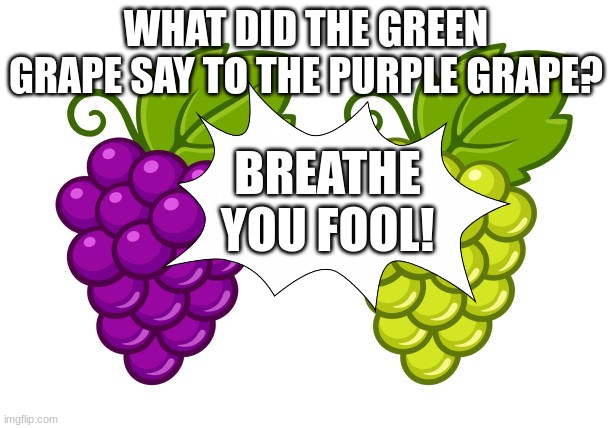 Great grapes! | WHAT DID THE GREEN GRAPE SAY TO THE PURPLE GRAPE? BREATHE YOU FOOL! | made w/ Imgflip meme maker