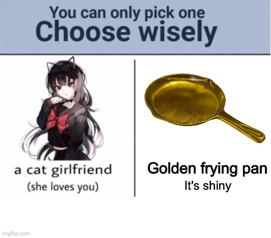 Choose wisely | Golden frying pan; It's shiny | image tagged in choose wisely | made w/ Imgflip meme maker