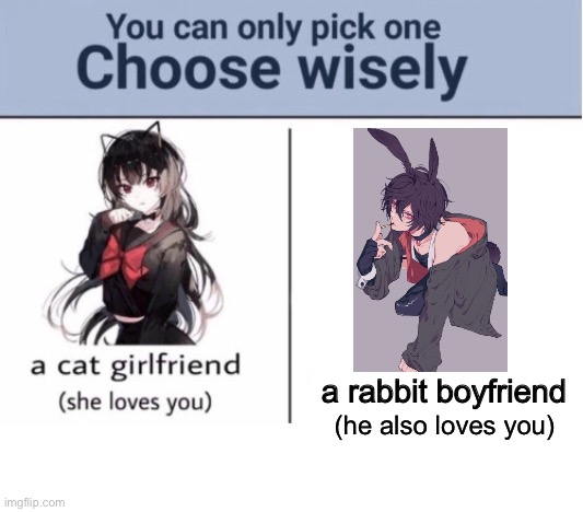 Choose wisely | a rabbit boyfriend; (he also loves you) | image tagged in choose wisely | made w/ Imgflip meme maker