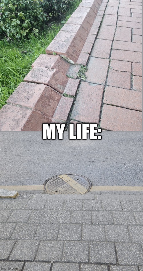 My life | MY LIFE: | image tagged in mistake | made w/ Imgflip meme maker