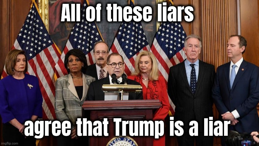 House Democrats | All of these liars agree that Trump is a liar | image tagged in house democrats | made w/ Imgflip meme maker
