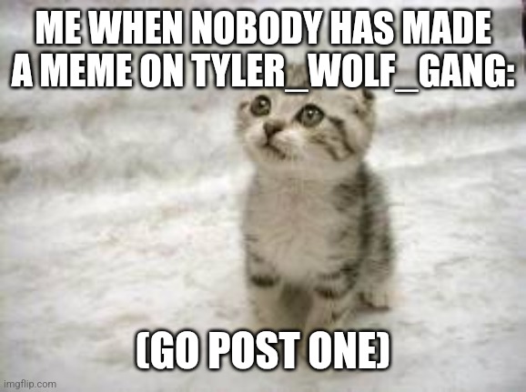 Sad Cat | ME WHEN NOBODY HAS MADE A MEME ON TYLER_WOLF_GANG:; (GO POST ONE) | image tagged in memes,sad cat | made w/ Imgflip meme maker