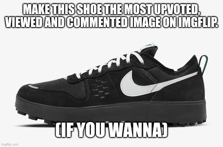 MAKE THIS SHOE THE MOST UPVOTED, VIEWED AND COMMENTED IMAGE ON IMGFLIP. (IF YOU WANNA) | made w/ Imgflip meme maker