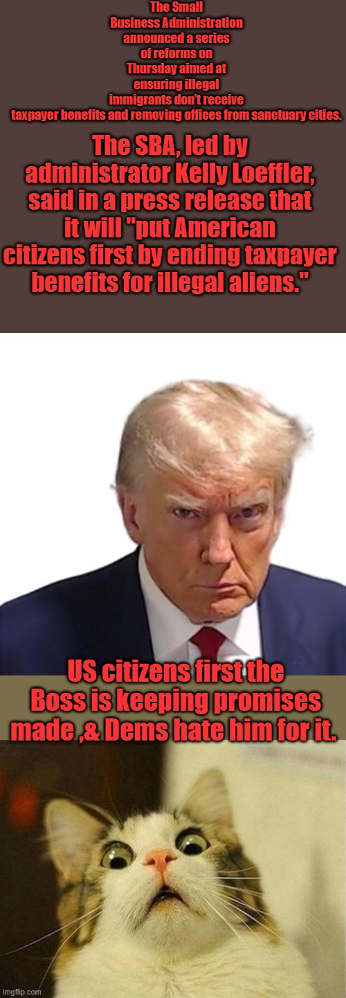 I'm telling you ,if hes a Russain asset ( Like Dems Claim ) , US citizens need more like him. | The Small Business Administration announced a series of reforms on Thursday aimed at ensuring illegal immigrants don’t receive taxpayer benefits and removing offices from sanctuary cities. The SBA, led by administrator Kelly Loeffler, said in a press release that it will "put American citizens first by ending taxpayer benefits for illegal aliens."; US citizens first the Boss is keeping promises made ,& Dems hate him for it. | image tagged in trump mugshot,memes,scared cat | made w/ Imgflip meme maker