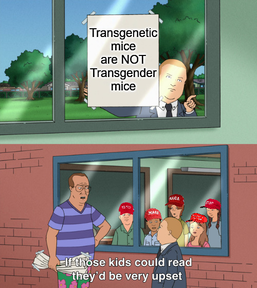 If those kids could read they'd be very upset | Transgenetic mice are NOT Transgender mice | image tagged in if those kids could read they'd be very upset,transgender,maga,transgenetic,republicans,donald trump | made w/ Imgflip meme maker