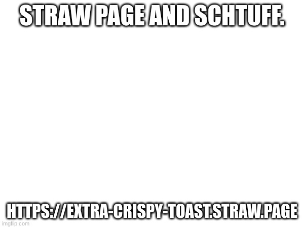 schtuff | STRAW PAGE AND SCHTUFF. HTTPS://EXTRA-CRISPY-TOAST.STRAW.PAGE | image tagged in schtuff | made w/ Imgflip meme maker