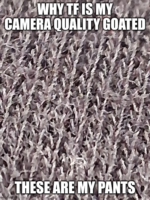 Fibers yayy | WHY TF IS MY CAMERA QUALITY GOATED; THESE ARE MY PANTS | made w/ Imgflip meme maker