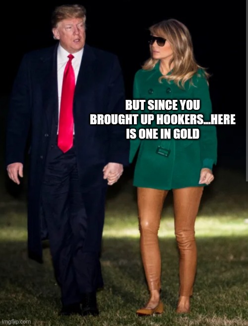 BUT SINCE YOU BROUGHT UP HOOKERS...HERE IS ONE IN GOLD | made w/ Imgflip meme maker