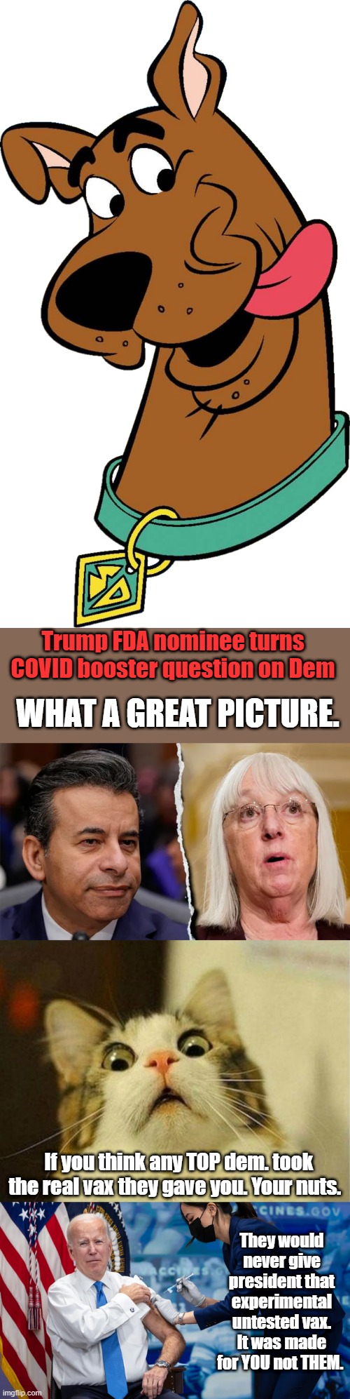 BIG Pharm addmited there was different varieties of vax distributed | Trump FDA nominee turns COVID booster question on Dem; WHAT A GREAT PICTURE. If you think any TOP dem. took the real vax they gave you. Your nuts. They would never give president that experimental untested vax. It was made for YOU not THEM. | image tagged in memes,scared cat | made w/ Imgflip meme maker