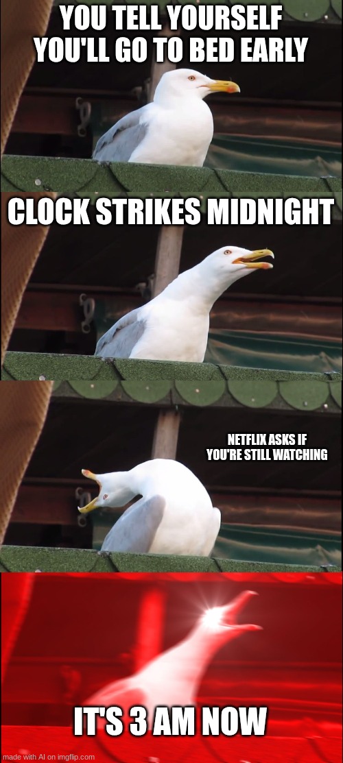 Inhaling Seagull | YOU TELL YOURSELF YOU'LL GO TO BED EARLY; CLOCK STRIKES MIDNIGHT; NETFLIX ASKS IF YOU'RE STILL WATCHING; IT'S 3 AM NOW | image tagged in memes,inhaling seagull | made w/ Imgflip meme maker