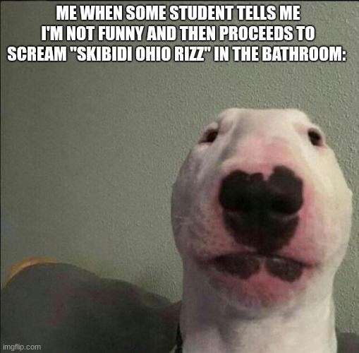 "your not funny" | ME WHEN SOME STUDENT TELLS ME I'M NOT FUNNY AND THEN PROCEEDS TO SCREAM "SKIBIDI OHIO RIZZ" IN THE BATHROOM: | image tagged in relatable,school memes,fun | made w/ Imgflip meme maker