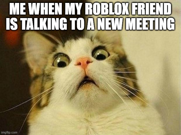 I'm talking to a Roblox meeting | ME WHEN MY ROBLOX FRIEND IS TALKING TO A NEW MEETING | image tagged in memes,scared cat,funny | made w/ Imgflip meme maker