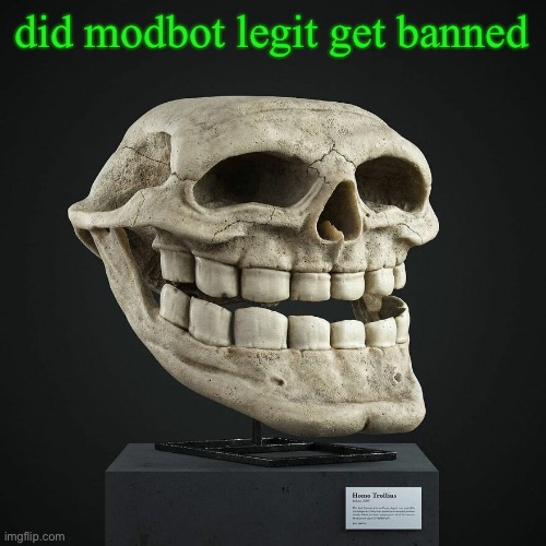 troll announcement temp | did modbot legit get banned | image tagged in troll announcement temp | made w/ Imgflip meme maker